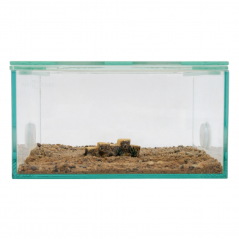 Decorative tree stump row